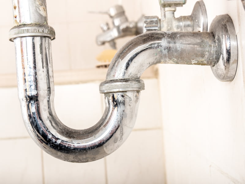Plumbing Leaks Attract Pests and Mould - Plumbing Paramedics - Plumbing Experts in Calgary