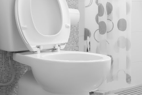The History of the Toilet - Plumbing Paramedics - Plumbing Experts Calgary